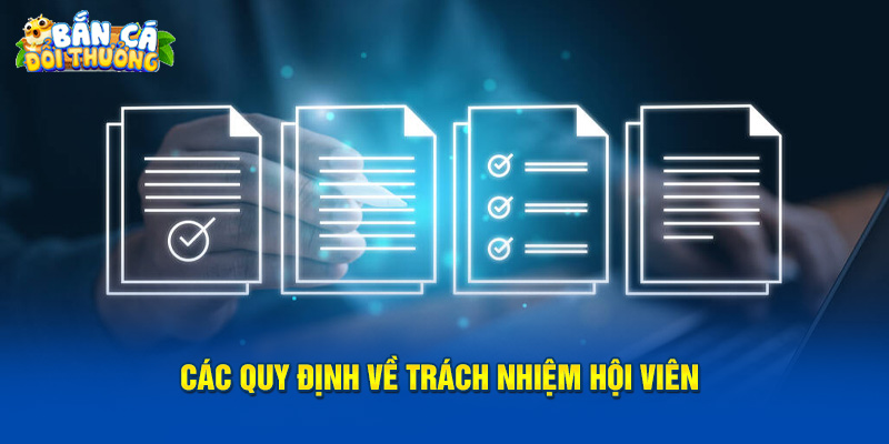 Điều Khoản Điều Kiện Các quy định về trách nhiệm hội viên