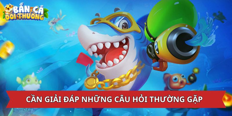 Câu Hỏi Thường Gặp Cần giải đáp những câu hỏi thường gặp trong săn cá đổi thưởng