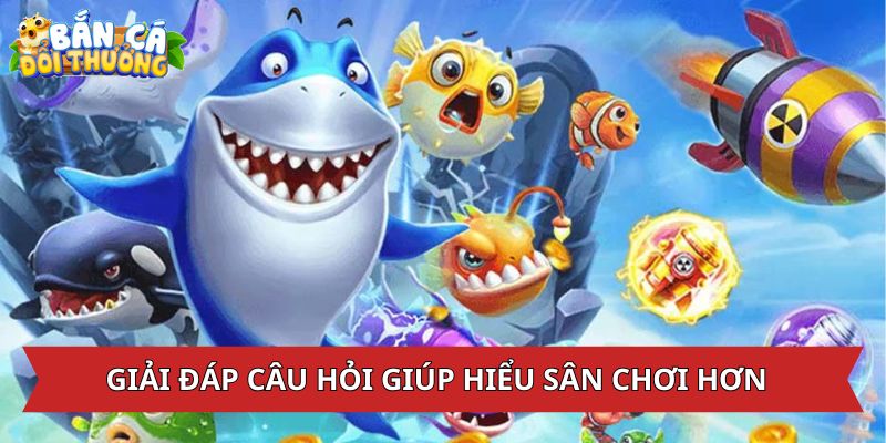 Câu Hỏi Thường Gặp Những câu hỏi thường gặp giúp hiểu hơn về hệ thống săn cá