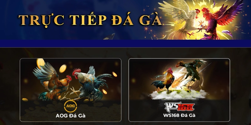 789BET - Giải Trí Thăng Hoa Với Công Nghệ Cá Cược Hàng Đầu Mãn nhãn với những trận chiến kịch tính của đá gà 789BET